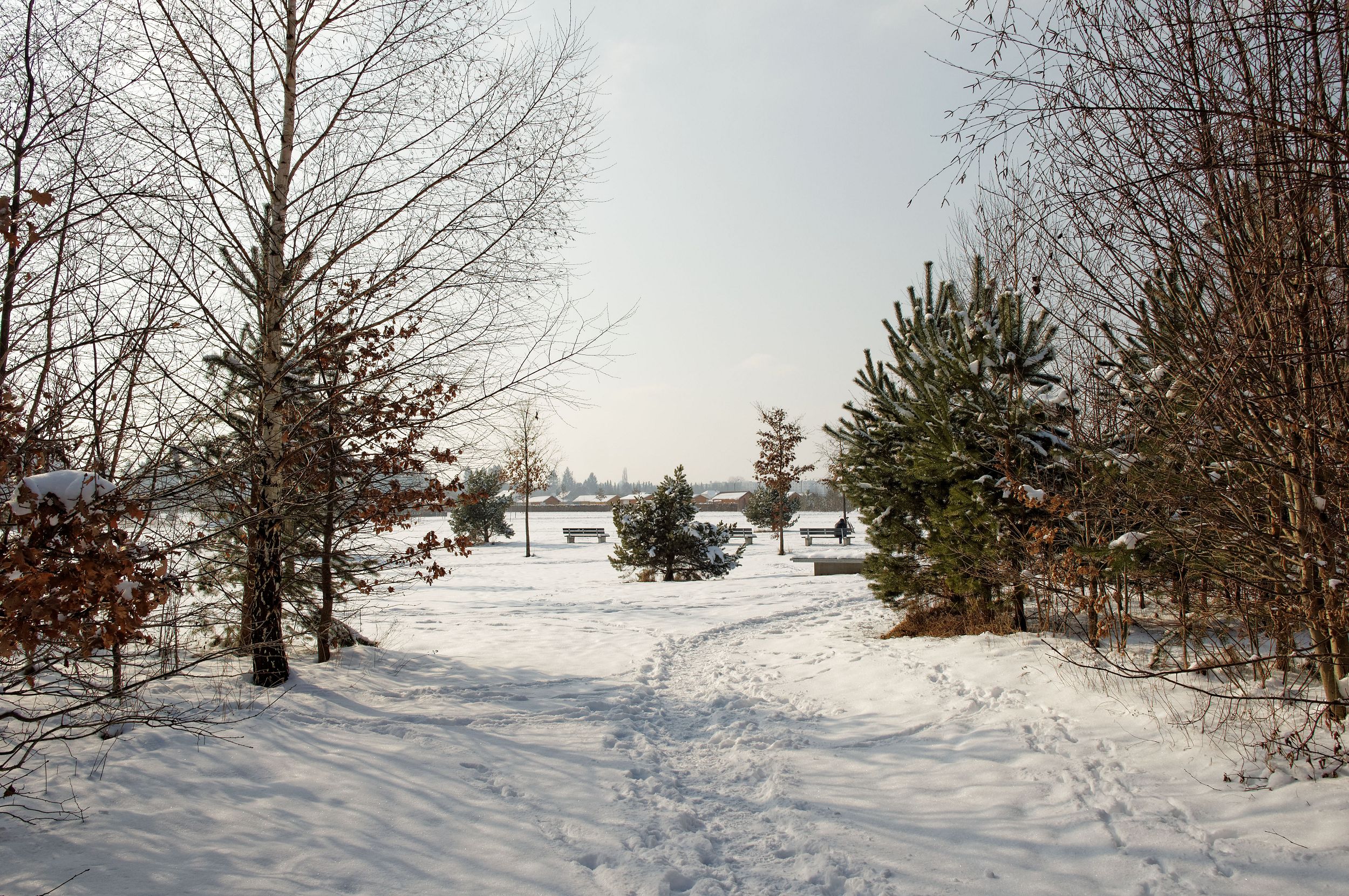 Bild: Fußabdrücke im Schnee, Foto: ver.de landschaftsarchitektur